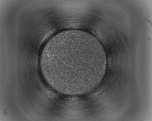 X0000091330396200708311440