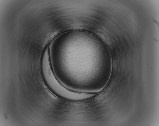 X0000091330397200708311440