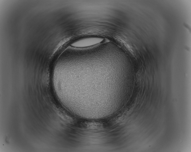 X0000091330400200708311440