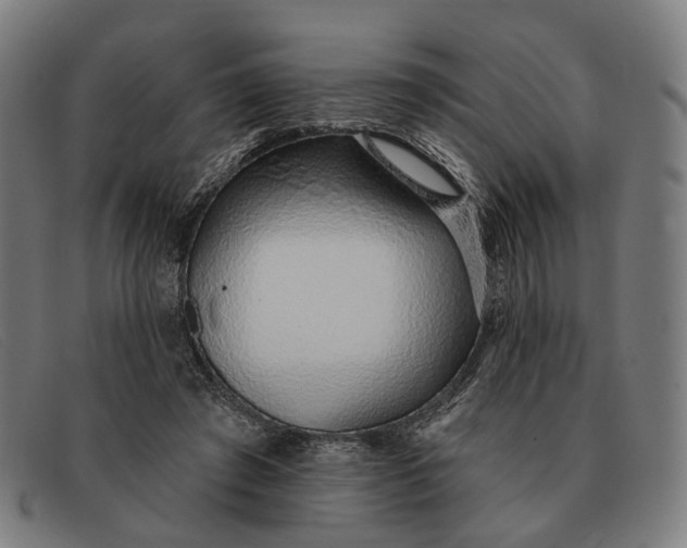 X0000091330401200708311440