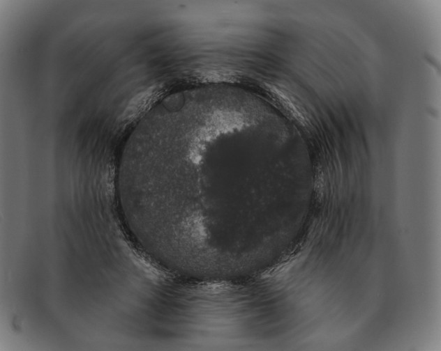 X0000091330402200708311440