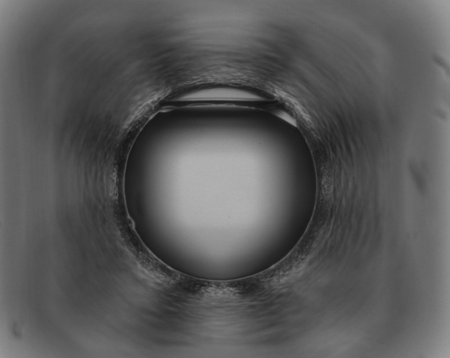 X0000091330403200708311440