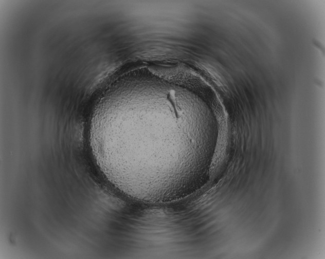 X0000091330404200708311440