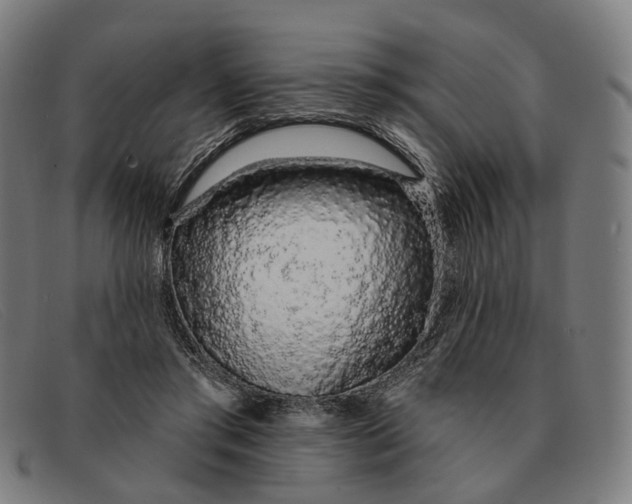 X0000091330405200708311440