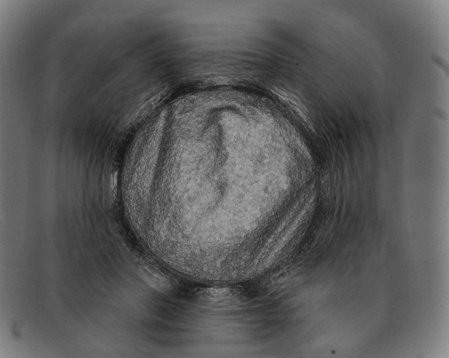 X0000091330406200708311440