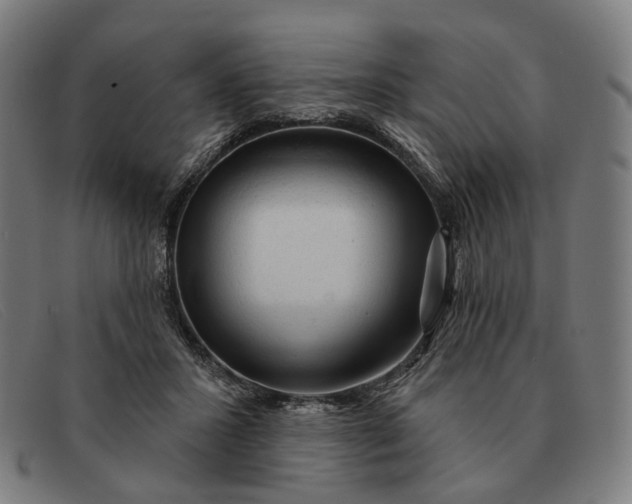 X0000091330407200708311440