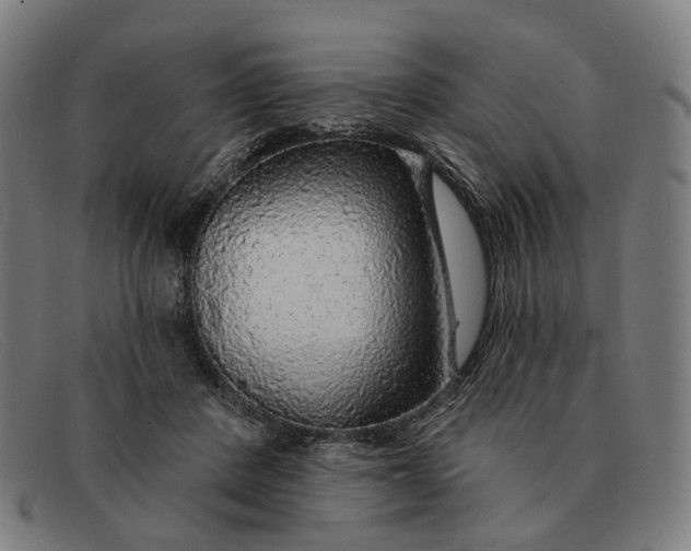 X0000091330408200708311440