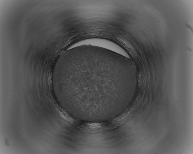 X0000091330409200708311440