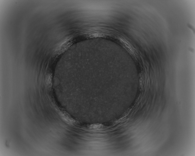 X0000091330410200708311440