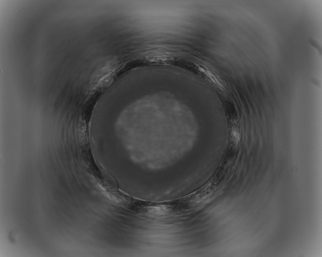 X0000091330411200708311440