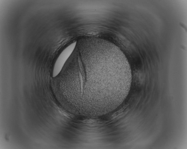 X0000091330412200708311440