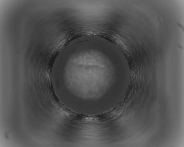X0000091330415200708311440