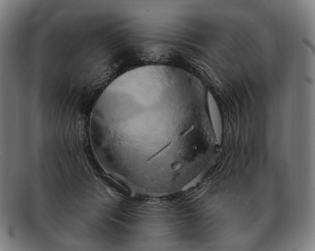 X0000091330416200708311440