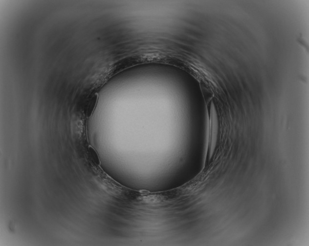 X0000091330417200708311440