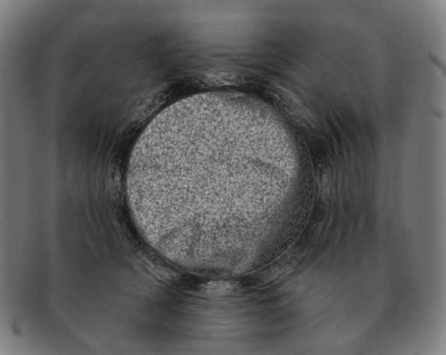 X0000091330418200708311440