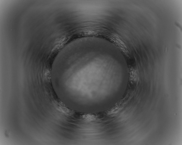 X0000091330419200708311440