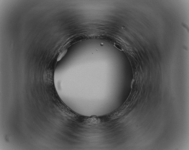 X0000091330421200708311440