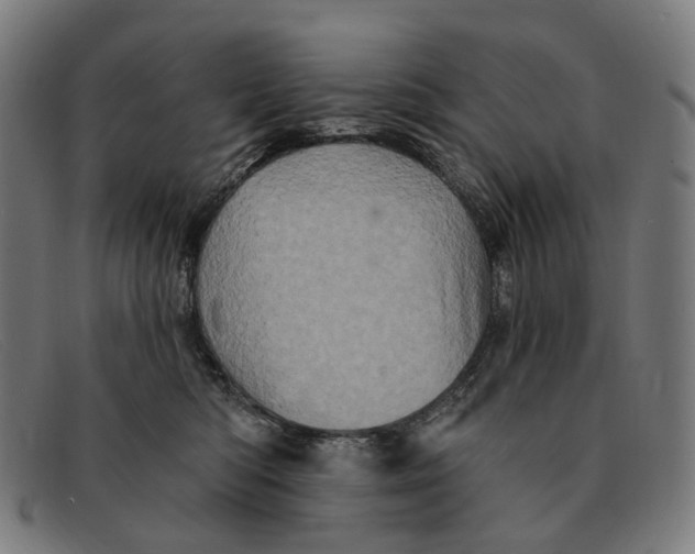 X0000091330422200708311440
