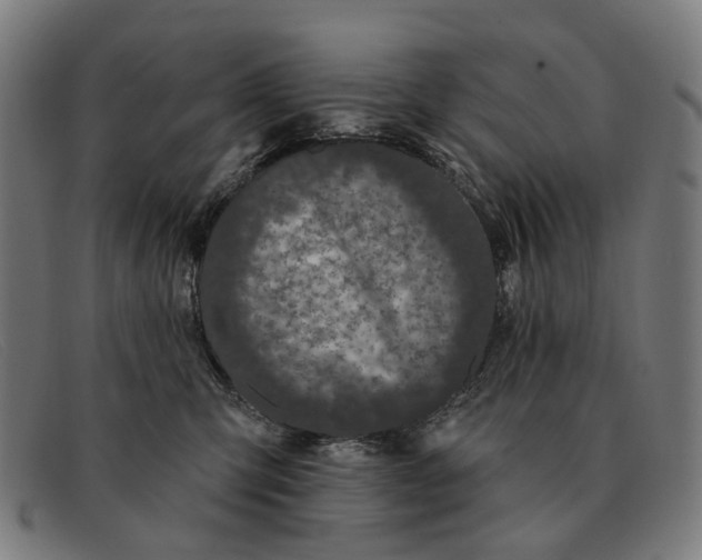 X0000091330423200708311440