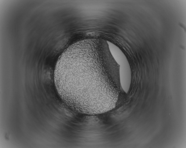 X0000091330424200708311440