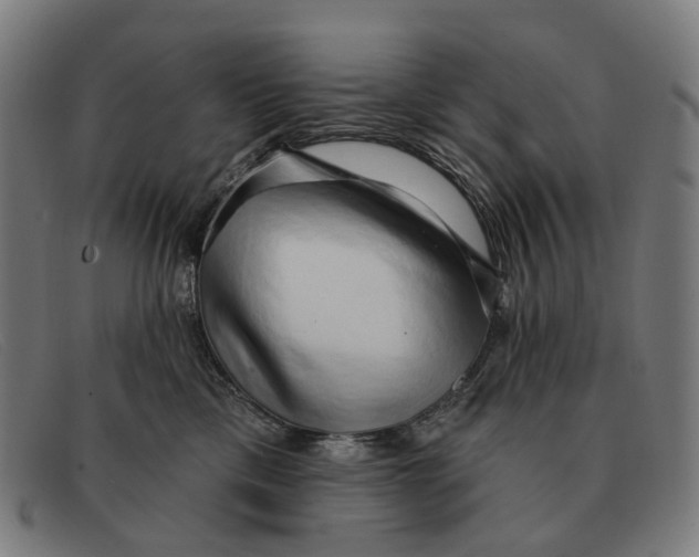 X0000091330425200708311440