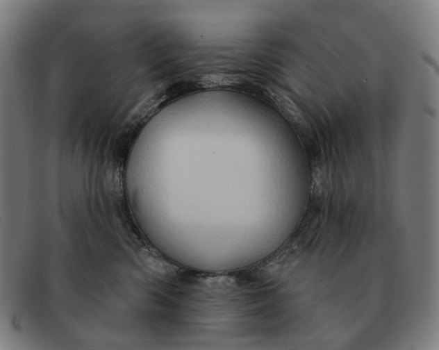 X0000091330426200708311440