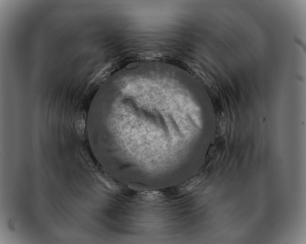 X0000091330427200708311440