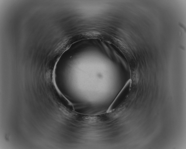 X0000091330428200708311440