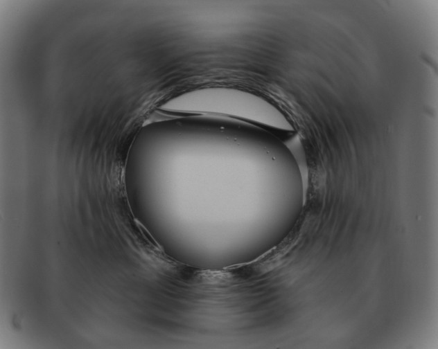 X0000091330429200708311440