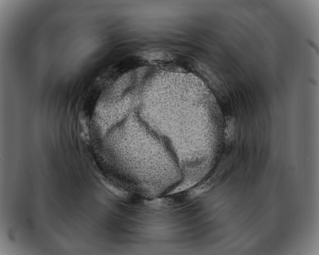 X0000091330430200708311440
