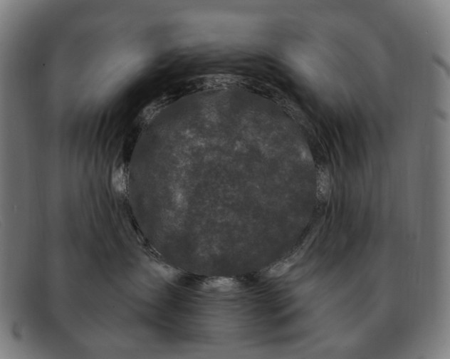 X0000091330431200708311440