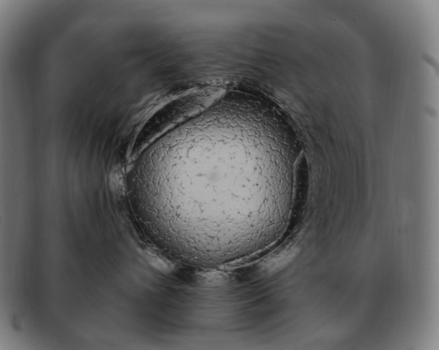 X0000091330432200708311440