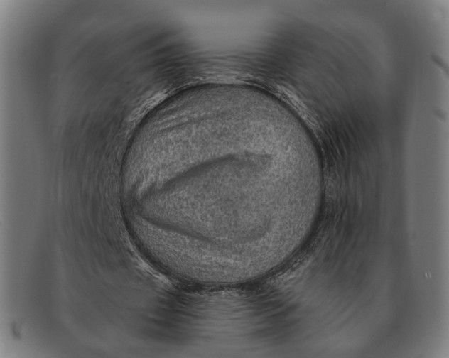 X0000091330433200708311439