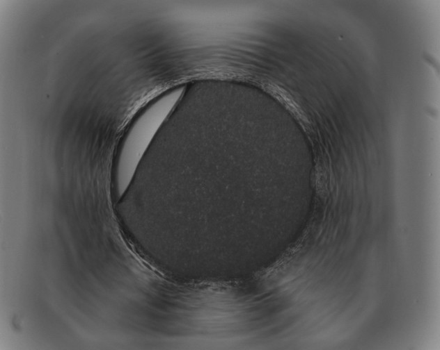 X0000091330434200708311439