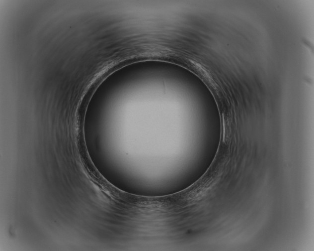 X0000091330435200708311439