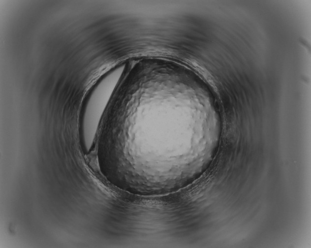 X0000091330437200708311439