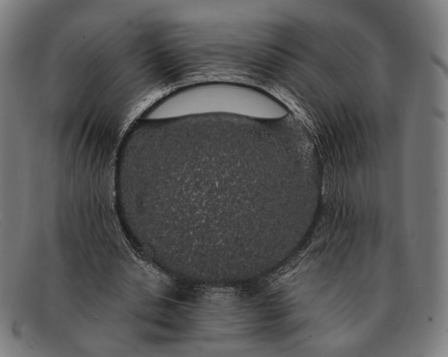 X0000091330438200708311439