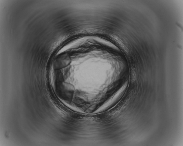 X0000091330439200708311439