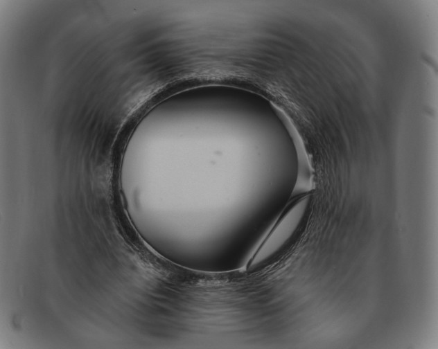 X0000091330440200708311440