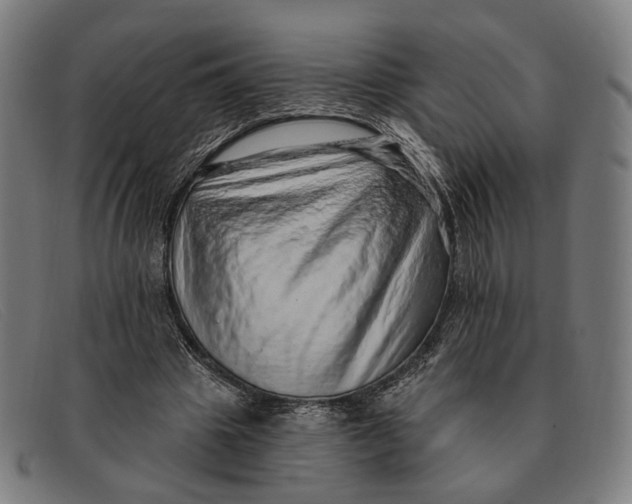X0000091330441200708311440