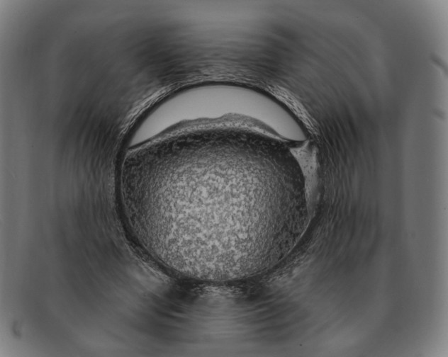 X0000091330442200708311440