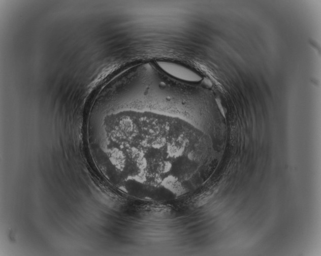 X0000091330443200708311440