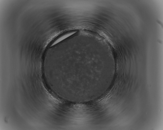 X0000091330444200708311440