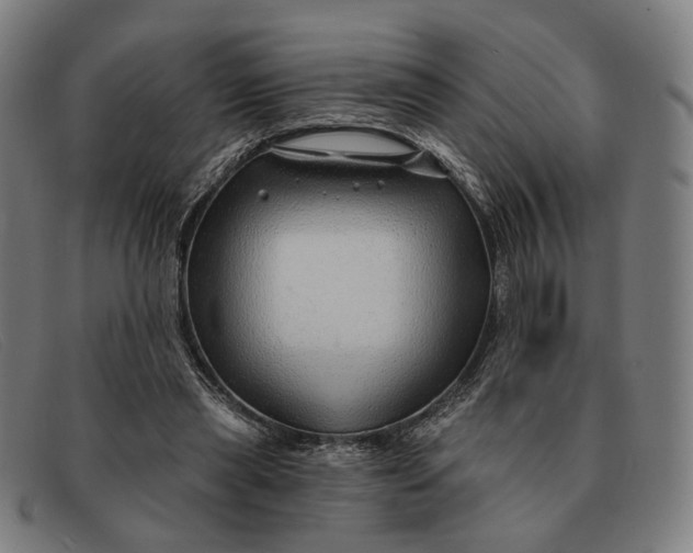 X0000091330445200708311440