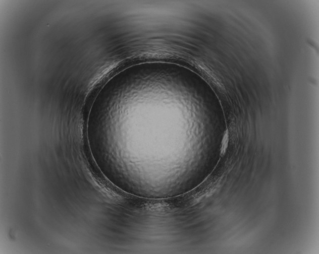 X0000091330446200708311440