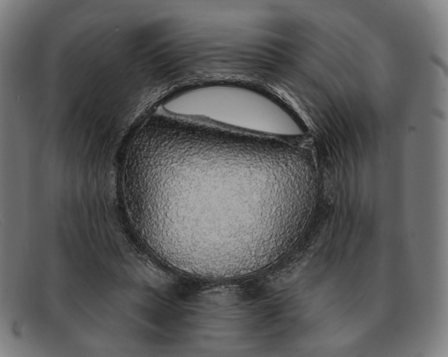 X0000091330447200708311440