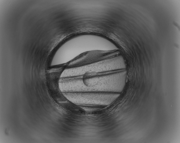X0000091330448200708311440