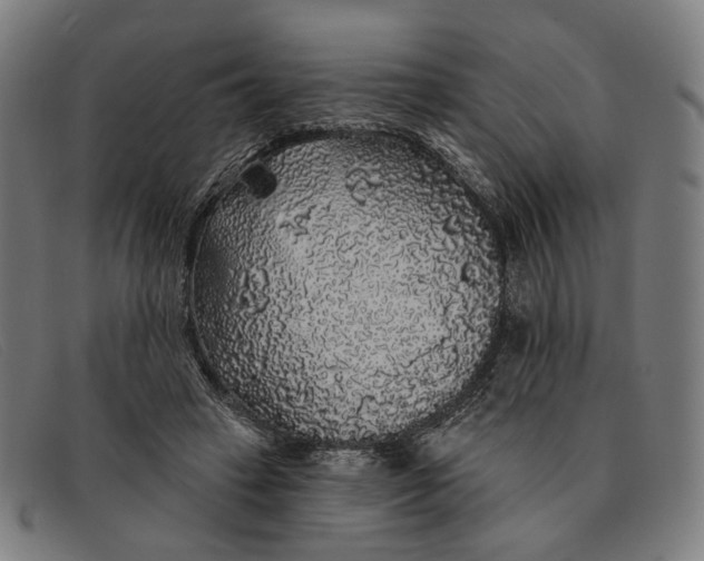 X0000091330449200708311440