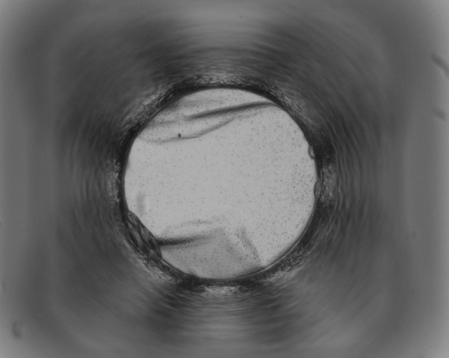 X0000091330450200708311440