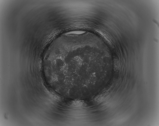 X0000091330451200708311440